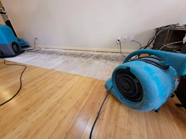 Professional Water Extraction technician working in Randolph, ME